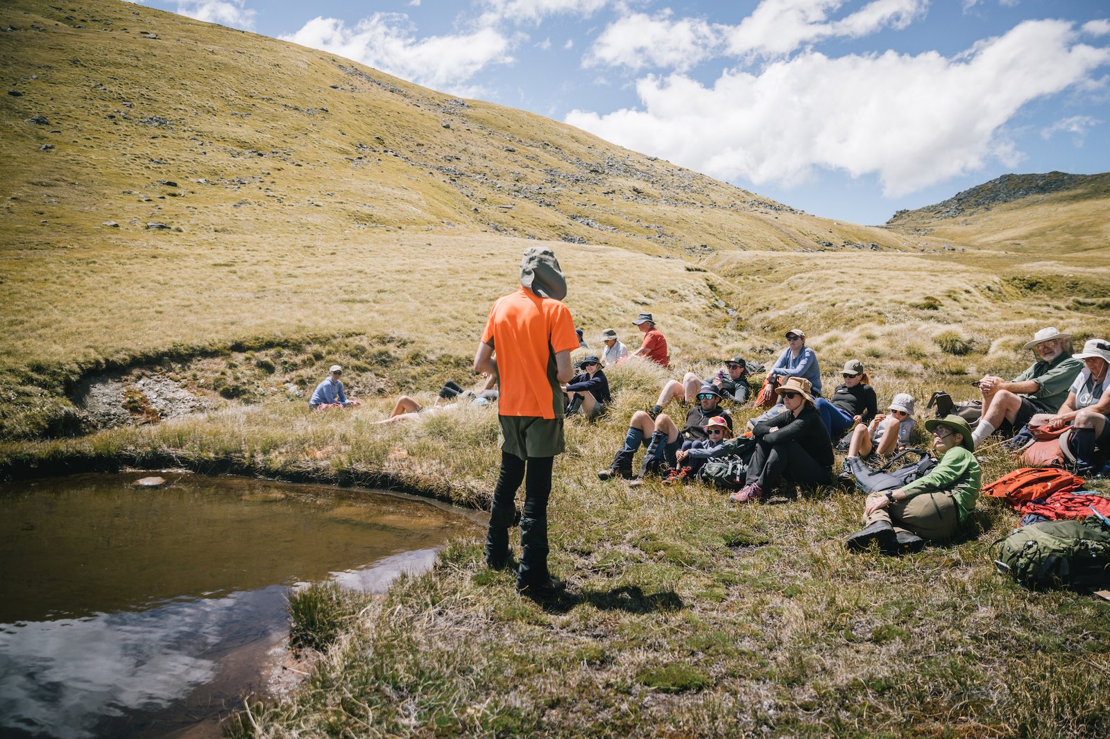 You are currently viewing Botanizing in the Borland Valley: Fiordland’s best hidden gem